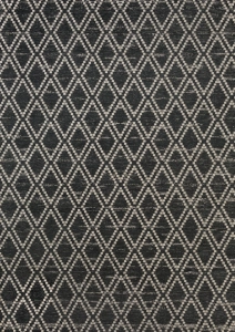Pone_anthracite